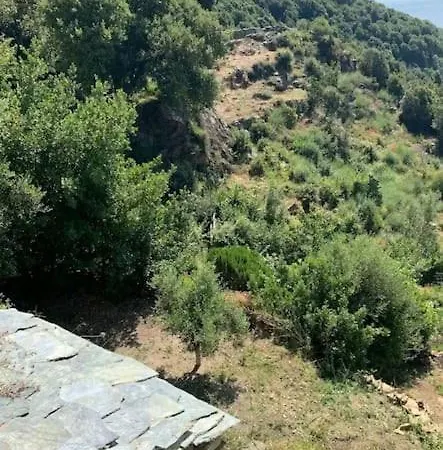 T1 Hauteurs De Bastia Vue Unique Sur La Mer Διαμέρισμα Ville-di-Pietrabugno